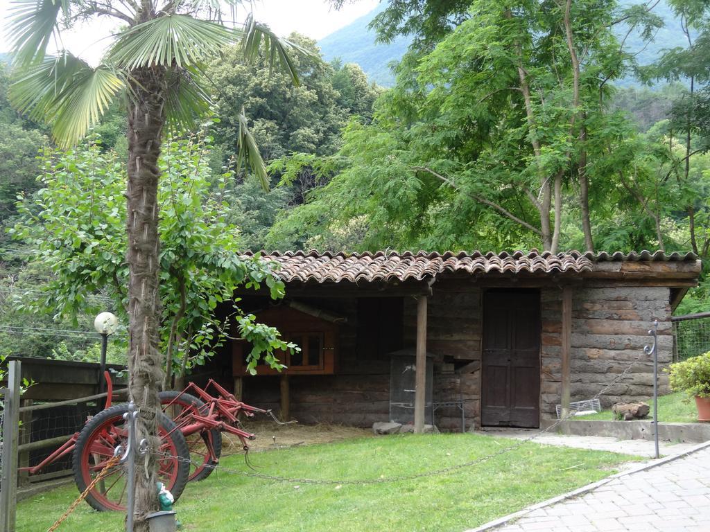 Agriturismo Barcola Грандола-ед-Унити Экстерьер фото