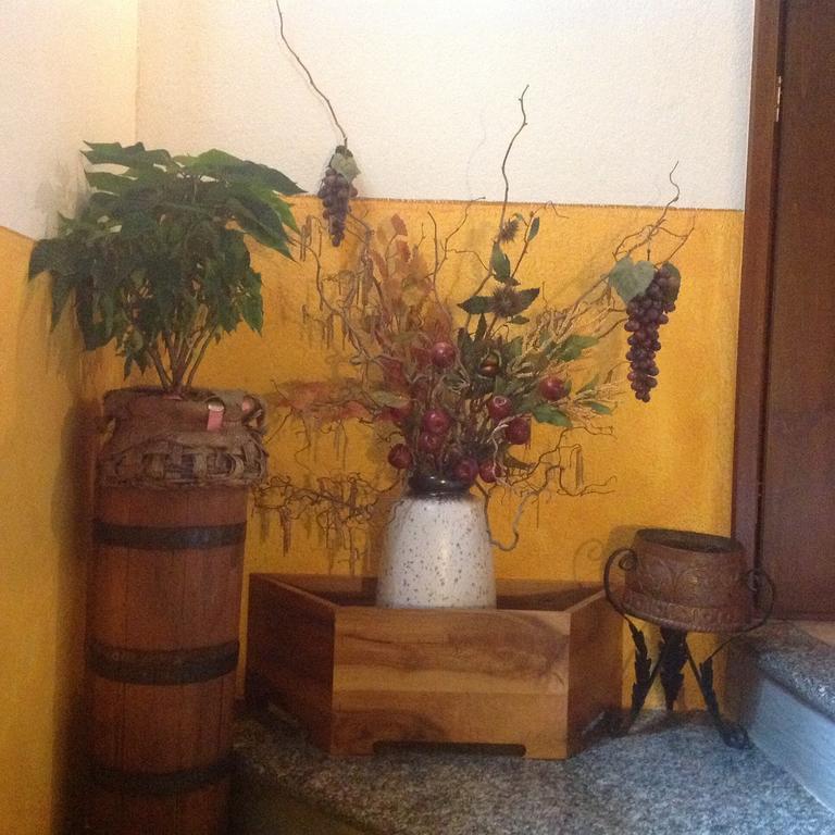 Agriturismo Barcola Грандола-ед-Унити Экстерьер фото