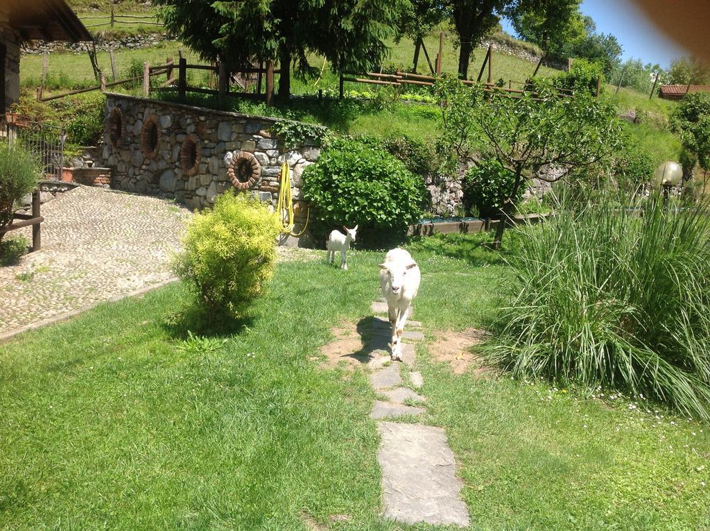 Agriturismo Barcola Грандола-ед-Унити Экстерьер фото