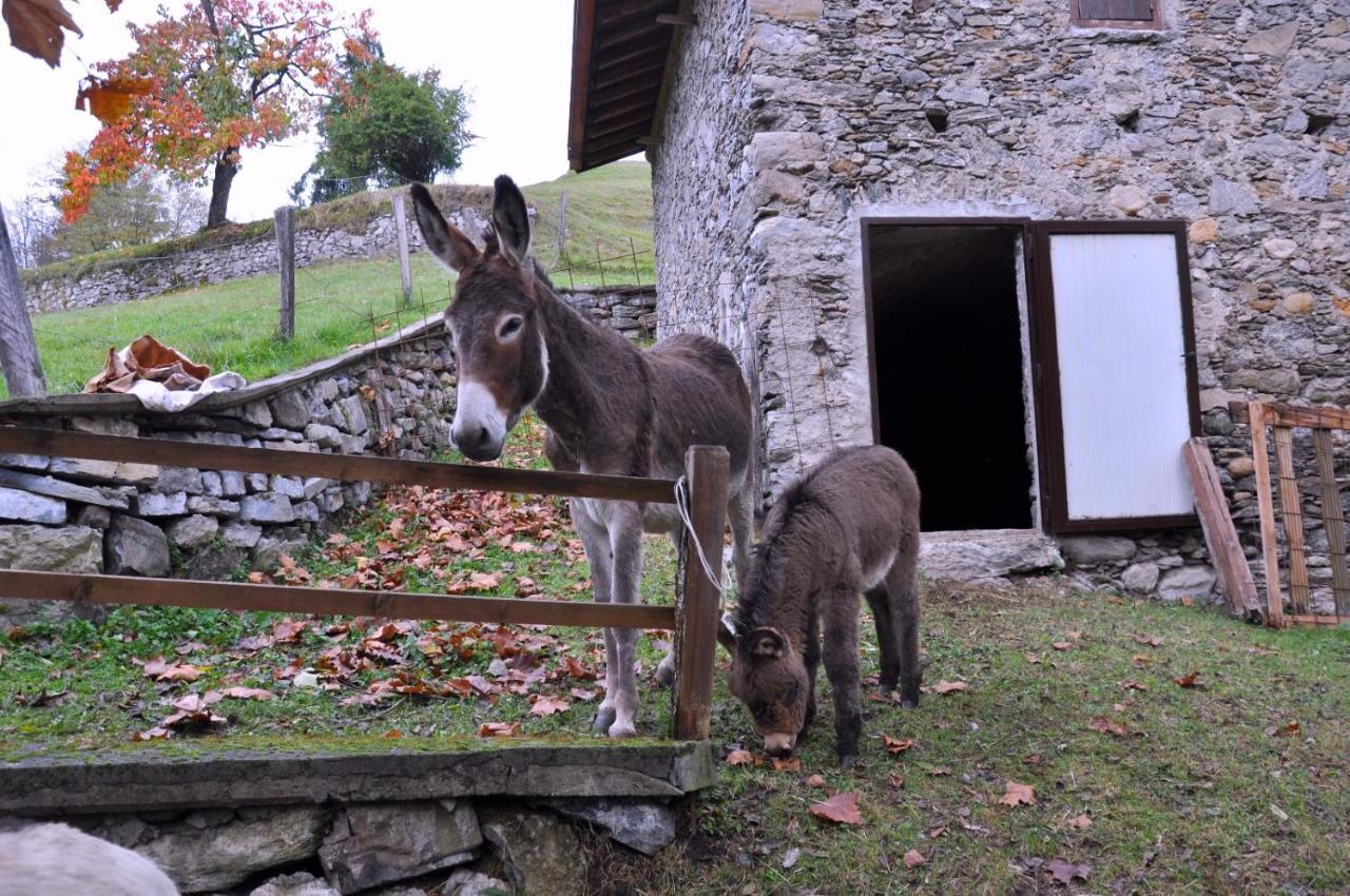 Agriturismo Barcola Грандола-ед-Унити Экстерьер фото