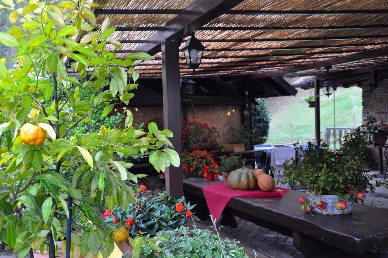 Agriturismo Barcola Грандола-ед-Унити Экстерьер фото